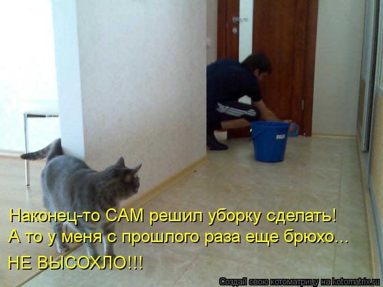 Котоматрица: Наконец-то САМ решил уборку сделать! А то у меня с прошлого раза еще брюхо... НЕ ВЫСОХЛО!!!
