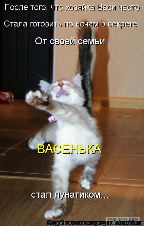 Котоматрица: После того, что хозяйка Васи часто Стала готовить по ночам в секрете От своей семьи ВАСЕНЬКА стал лунатиком...