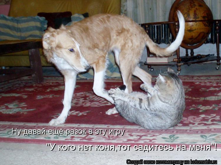 Ну давай ещё разок в эту игру "У кого нет коня,тот садитесь на меня"!... Котоматрица: Ну давай ещё разок в эту игру "У кого нет коня,тот садитесь на меня"!
