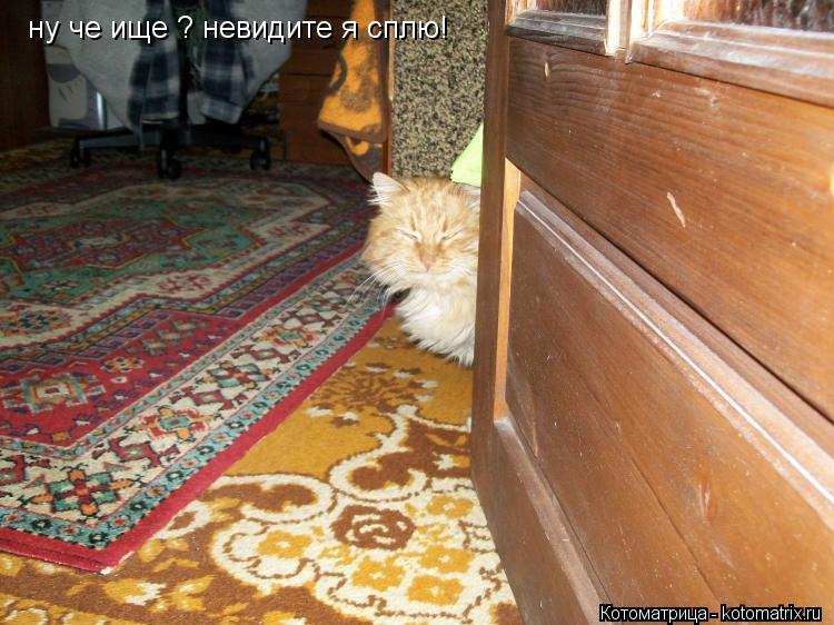 Котоматрица: ну че ище ? невидите я сплю!