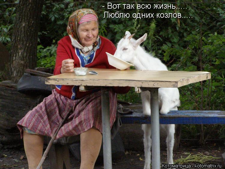 Котоматрица: - Вот так всю жизнь..... Люблю одних козлов.....