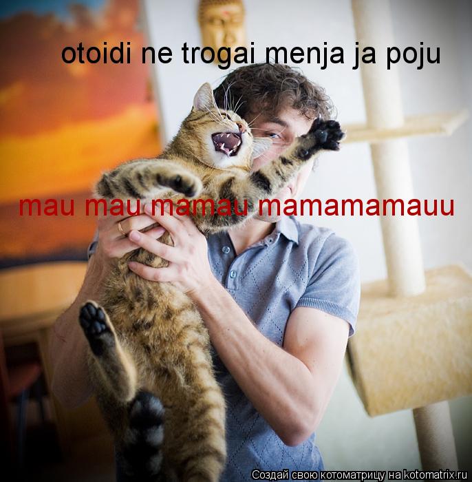 Котоматрица: otoidi ne trogai menja ja poju mau mau mamau mamamamauu