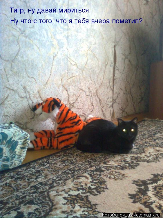 Тигр, ну давай мириться. Ну что с того, что я тебя вчера пометил?... Котоматрица: Тигр, ну давай мириться. Ну что с того, что я тебя вчера пометил?