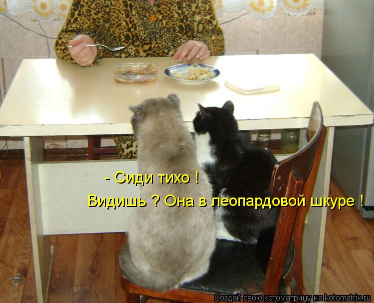 Котоматрица: - Сиди тихо ! Видишь ? Она в леопардовой шкуре !