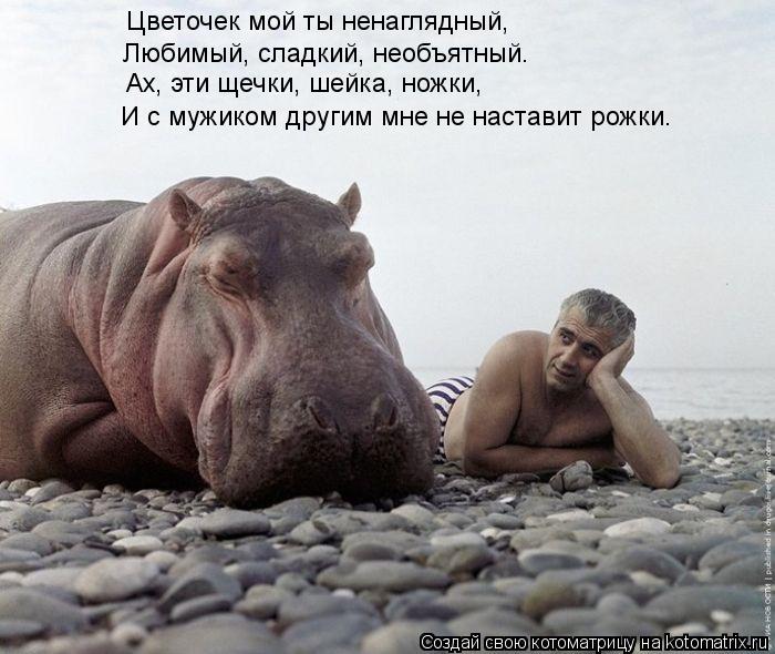 Цветочек мой ты ненаглядный, Любимый, сладкий, необъятный. Ах, эти щечки, шейка, ножки, И с мужиком д... Котоматрица: Цветочек мой ты ненаглядный, Любимый, сладкий, необъятный. Ах, эти щечки, шейка, ножки, И с мужиком другим мне не наставит рожки.