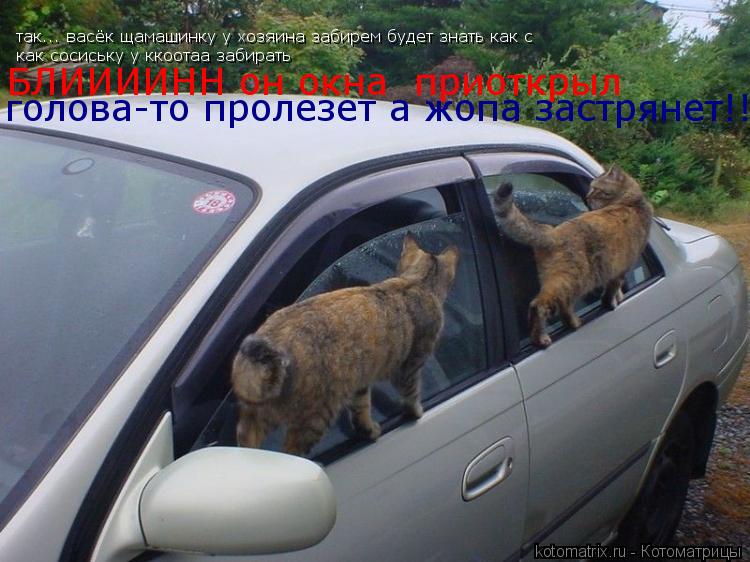 так... васёк щамашинку у хозяина забирем будет знать как с как сосиську у ккоотаа забирать БЛИИИИНН о... Котоматрица: так... васёк щамашинку у хозяина забирем будет знать как с как сосиську у ккоотаа забирать БЛИИИИНН он окна приоткрыл голова-то пролезет а ж