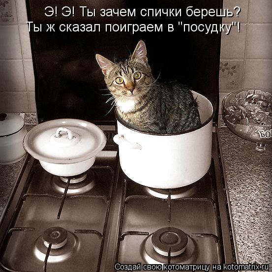 Котоматрица: Э! Э! Ты зачем спички берешь? Ты ж сказал поиграем в "посудку"!