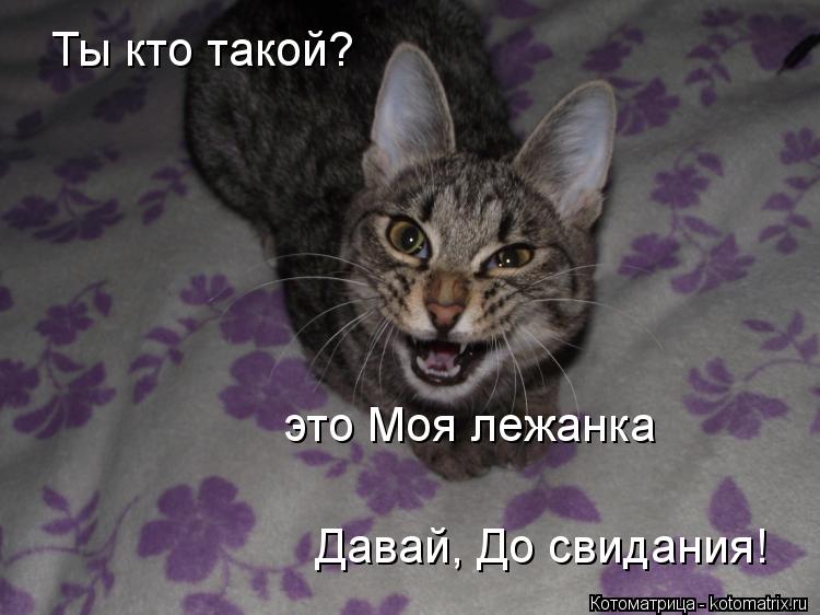 Котоматрица: Ты кто такой? Давай, До свидания! это Моя лежанка