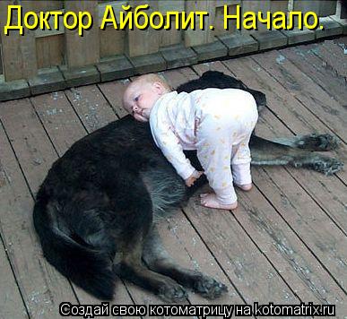 Котоматрица: Доктор Айболит. Начало.