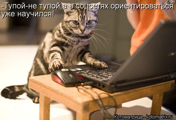 Котоматрица: -Тупой-не тупой,а в соцсетях ориентироваться уже научился!