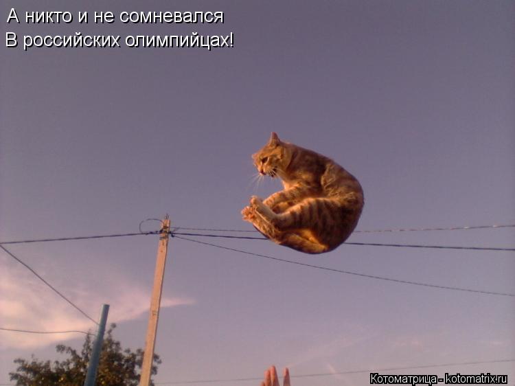 Котоматрица: А никто и не сомневался В российских олимпийцах!