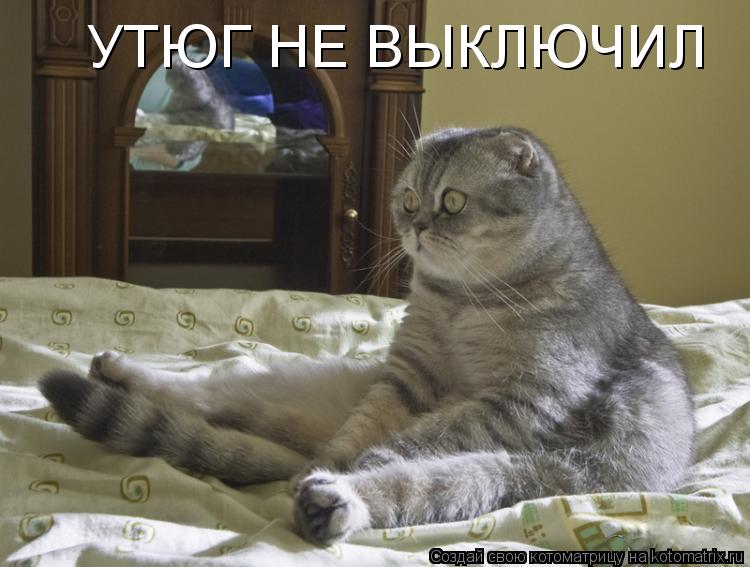 Котоматрица: УТЮГ НЕ ВЫКЛЮЧИЛ