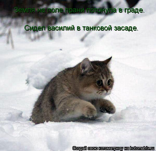 Котоматрица: Земля на поле прани потонула в граде. Сидел василий в танковой засаде.