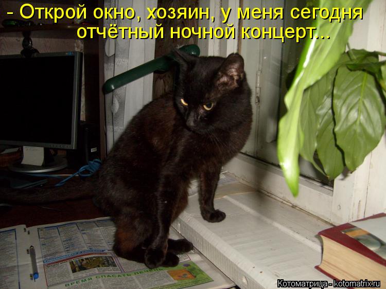 - Открой окно, хозяин, у меня сегодня отчётный ночной концерт...... Котоматрица: - Открой окно, хозяин, у меня сегодня отчётный ночной концерт...