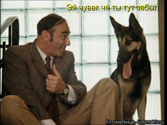 Котоматрица: Эй чувак чё ты тут забыл