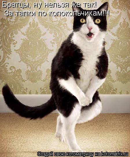 Котоматрица: Братцы, ну нельзя же так! За тапки по колокольчикам!!!