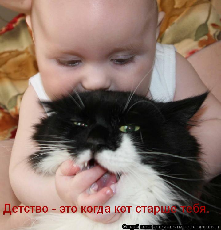 Котоматрица: Детство - это когда кот старше тебя.