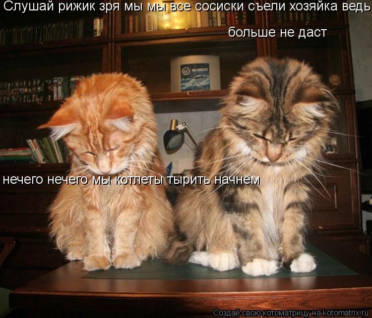 Слушай рижик зря мы мы все сосиски съели хозяйка ведь больше не даст нечего нечего мы котлеты тырить ... Котоматрица: Слушай рижик зря мы мы все сосиски съели хозяйка ведь больше не даст нечего нечего мы котлеты тырить начнём