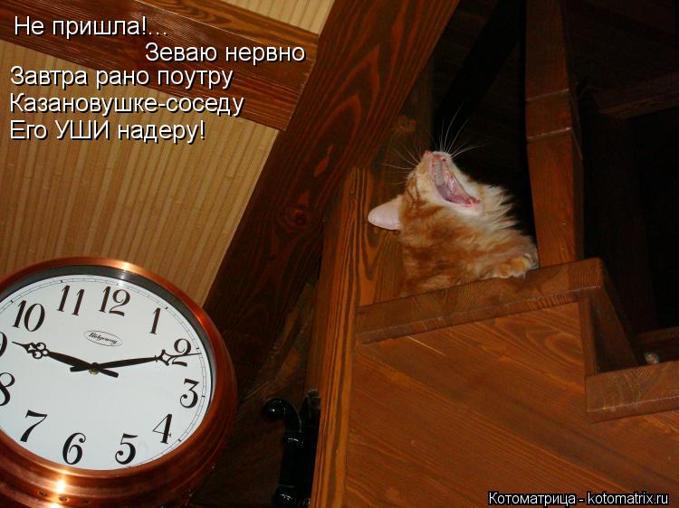 Котоматрица: Не пришла!... Зеваю нервно Завтра рано поутру Казановушке-соседу Его УШИ надеру!