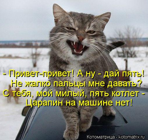 - Привет-привет! А ну - дай пять! Не жалко пальцы мне давать? С тебя, мой милый, пять котлет - Царап... Котоматрица: - Привет-привет! А ну - дай пять! Не жалко пальцы мне давать? С тебя, мой милый, пять котлет - Царапин на машине нет!