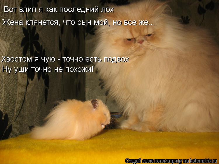 Жена клянется, что сын мой, но все же... Вот влип я как последний лох Хвостом я чую - точно есть подв... Котоматрица: Жена клянется, что сын мой, но все же... Вот влип я как последний лох Хвостом я чую - точно есть подвох Ну уши точно не похожи!
