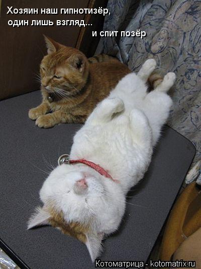 Котоматрица: Хозяин наш гипнотизёр, один лишь взгляд... и спит позёр