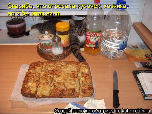 Котоматрица: Спасибо, что отрезала кусочек, хозяйка, но я бы итак взял