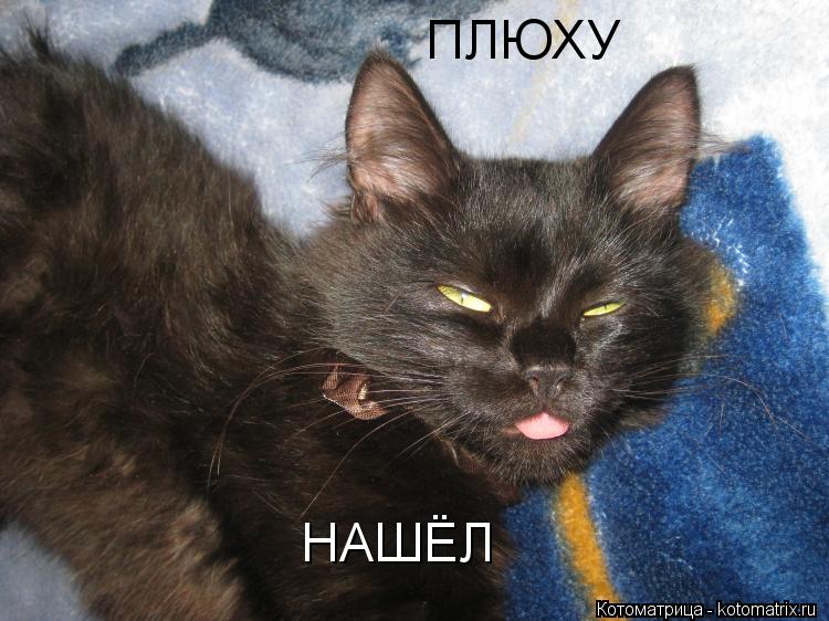 Котоматрица: ПЛЮХУ  НАШЁЛ