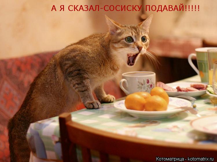 Котоматрица: А Я СКАЗАЛ-СОСИСКУ ПОДАВАЙ!!!!!