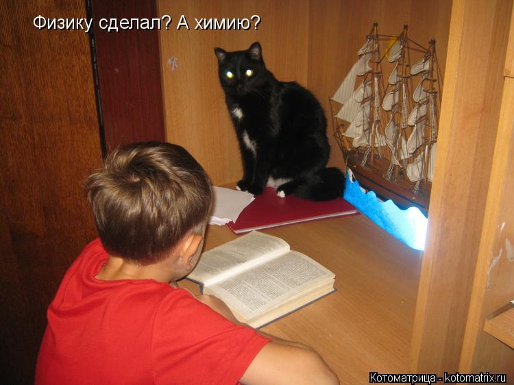 Физику сделал? А химию?... Котоматрица: Физику сделал? А химию?