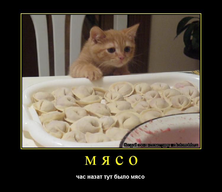 Котоматрица: мясо час назат тут было мясо 