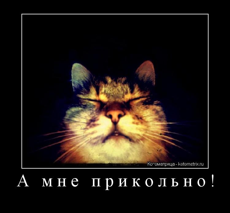 Котоматрица: А мне прикольно! 