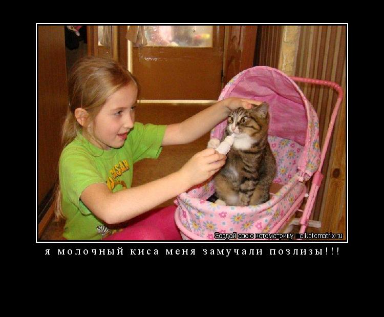 Котоматрица: я молочный киса меня замучали позлизы!!! 