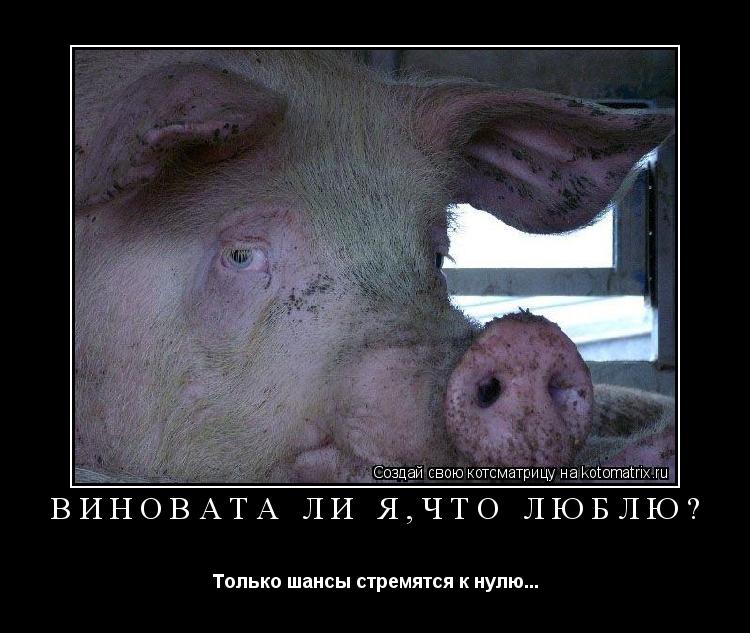 ВИНОВАТА ЛИ Я,ЧТО ЛЮБЛЮ? Только шансы стремятся к нулю...... Котоматрица: ВИНОВАТА ЛИ Я,ЧТО ЛЮБЛЮ? Только шансы стремятся к нулю...