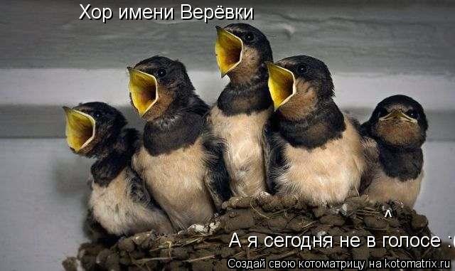 Котоматрица: А я сегодня не в голосе :( Хор имени Верёвки ^