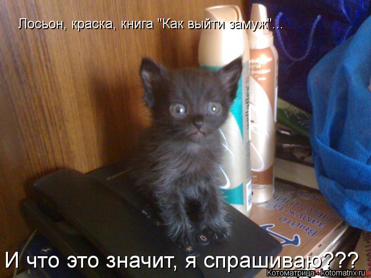 Котоматрица: Лосьон, краска, книга "Как выйти замуж"... И что это значит, я спрашиваю???