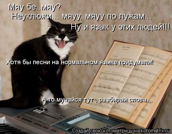 Котоматрица: Мяу бе..мяу? Неуклюжи... мяуу, мяуу по лужам... Ну и язык у этих людей!!!  Хотя бы песни на нормальном языке придумали! А то мучайся тут , разбирай 