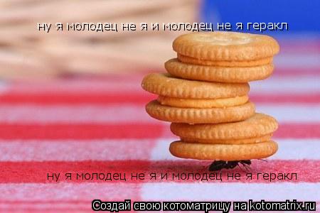 Котоматрица: ну я молодец не я и молодец не я геракл ну я молодец не я и молодец не я геракл