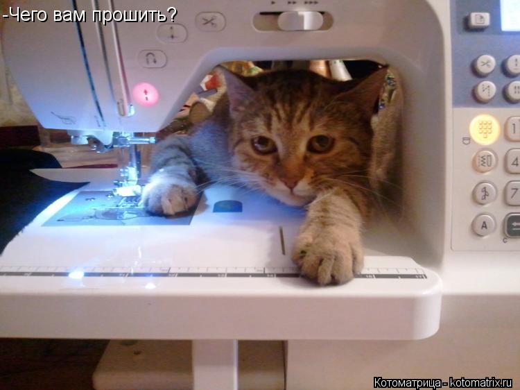Котоматрица: -Чего вам прошить?