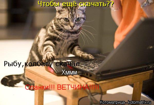 Котоматрица: Чтобы ещё скачать?? Рыбу,колбасу скачал Хммм... Опанки!!! ВЕТЧИНА!!!!!