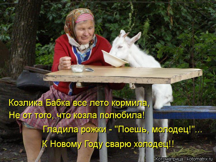 Козлика Бабка все лето кормила, Не от того, что козла полюбила! Гладила рожки - "Поешь, молодец!"... ... Котоматрица: Козлика Бабка все лето кормила, Не от того, что козла полюбила! Гладила рожки - "Поешь, молодец!"... К Новому Году сварю холодец!!