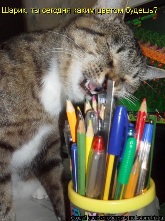 Котоматрица: Шарик, ты сегодня каким цветом будешь?