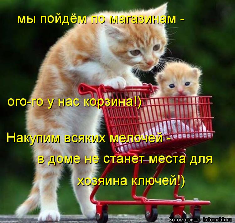 Котоматрица: мы пойдём по магазинам -  ого-го у нас корзина!) Накупим всяких мелочей -  в доме не станет места для хозяина ключей!)