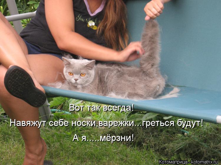 Котоматрица: Вот так всегда! Навяжут себе носки,варежки...греться будут! А я.....мёрзни!