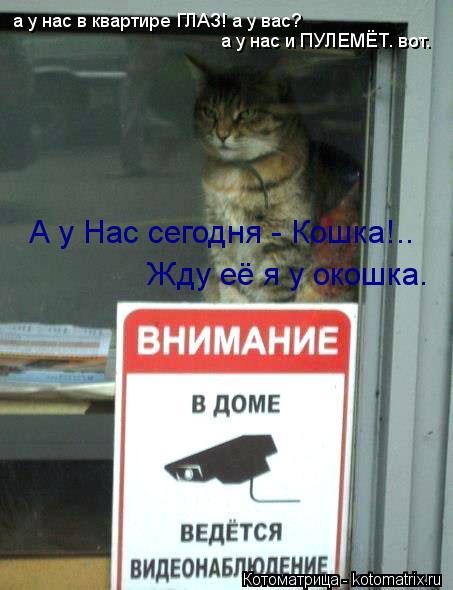 Котоматрица: а у нас в квартире ГЛАЗ! а у вас? а у нас и ПУЛЕМЁТ. вот. А у Нас сегодня - Кошка!.. Жду её я у окошка.