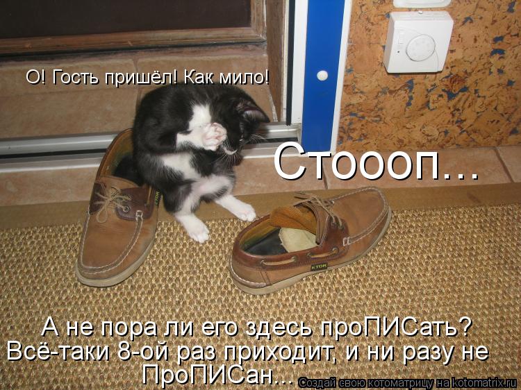 Котоматрица: О! Гость пришёл! Как мило! Стоооп... А не пора ли его здесь проПИСать? Всё-таки 8-ой раз приходит, и ни разу не  ПроПИСан...