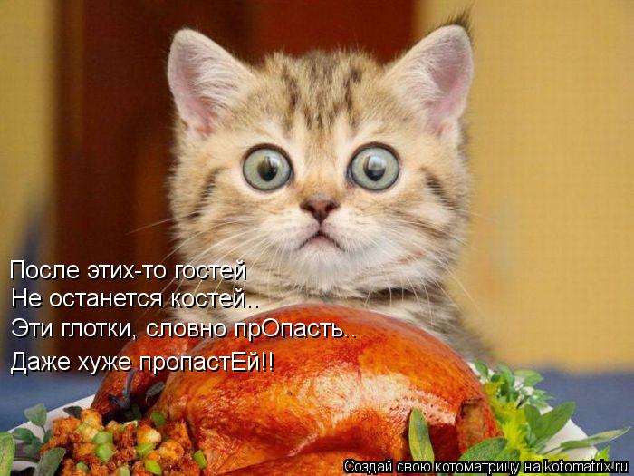 После этих-то гостей Не останется костей.. Эти глотки, словно прОпасть.. Даже хуже пропастЕй!!... Котоматрица: После этих-то гостей Не останется костей.. Эти глотки, словно прОпасть.. Даже хуже пропастЕй!!