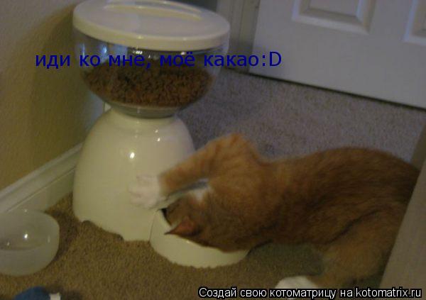Котоматрица: иди ко мне, моё какао:D