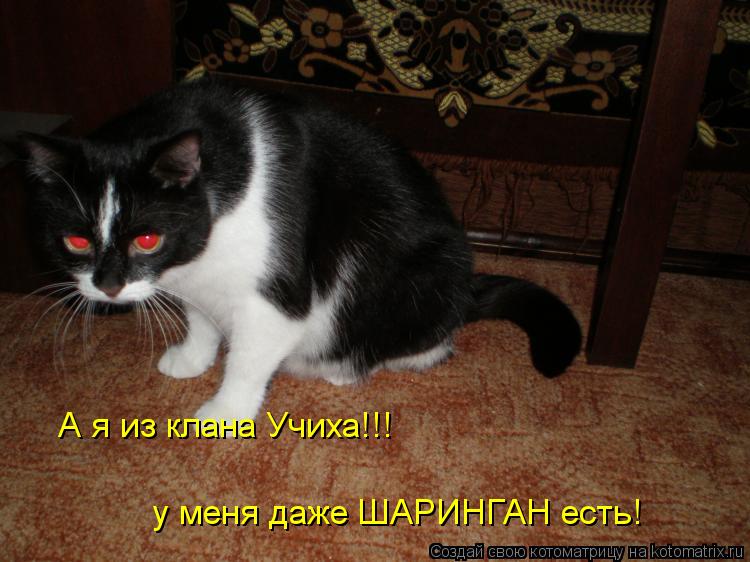А я из клана Учиха!!! у меня даже ШАРИНГАН есть!... Котоматрица: А я из клана Учиха!!! у меня даже ШАРИНГАН есть!