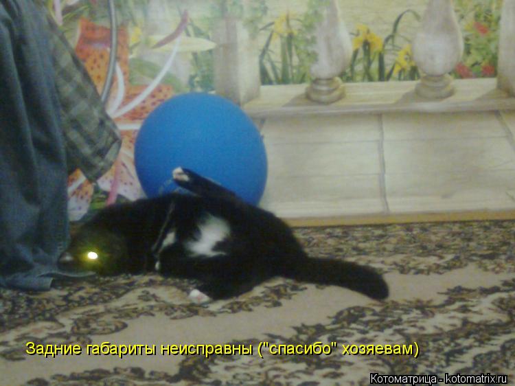 Котоматрица: Задние габариты неисправны ("спасибо" хозяевам)